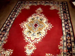 005-large.jpg